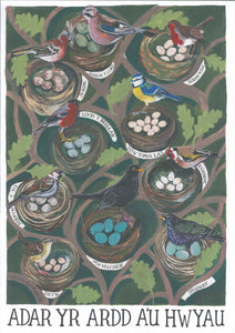 'Adar yr Ardd a'u Hwyau' Poster by Lizzie Spikes