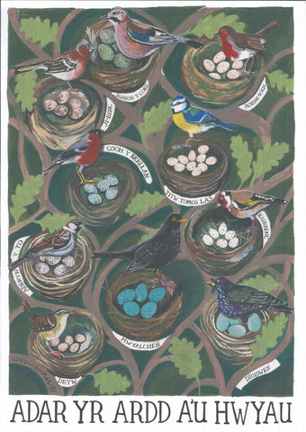 'Adar yr Ardd a'u Hwyau' Poster by Lizzie Spikes