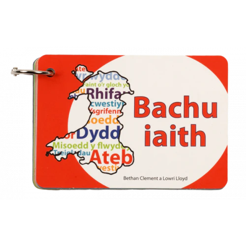 'Bachu Iaith' - Language Guide