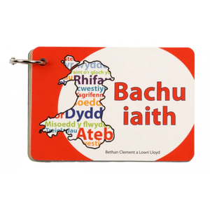 'Bachu Iaith' - Language Guide
