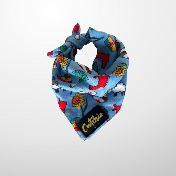 'Cwtchie' Dog Bandana - Medium (Blue)