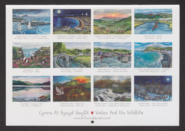 'Wales and it's Wildlife' - 2027 Calendar by Lizzie Spikes