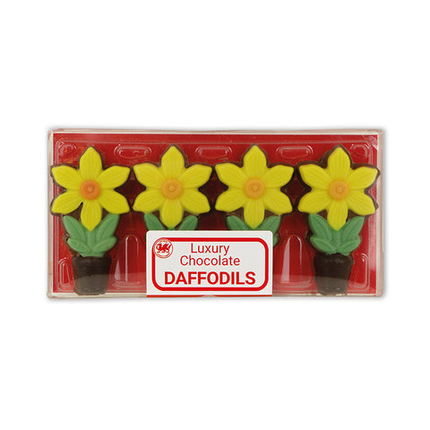 Luxury Chocolate Daffodils