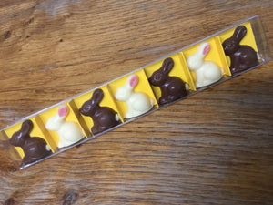 Chocolate 'Mini Bunnies' Gift Pack