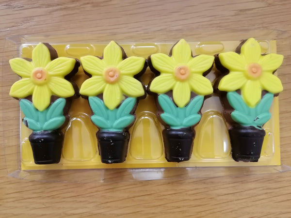 Luxury Chocolate Daffodils