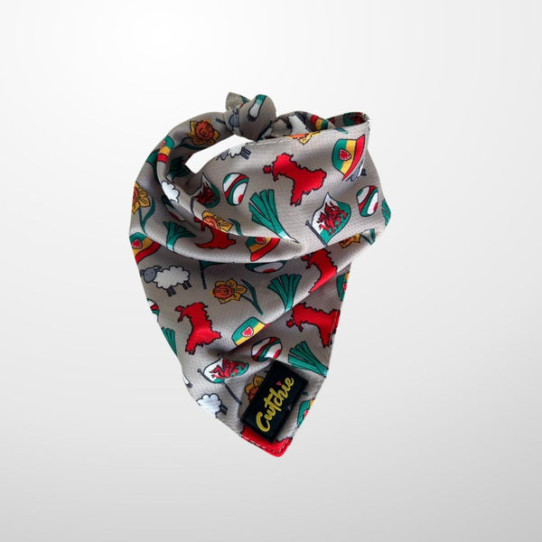 'Cwtchie' Dog Bandana - Medium (Grey)