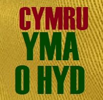 'Cymru Yma o Hyd' Bucket Hat (L/XL)