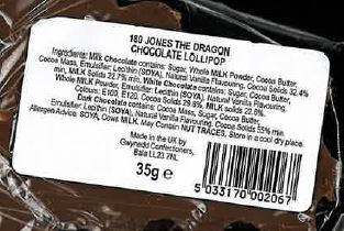 'Jones the Dragon' Decorated Chocolate Lollipop