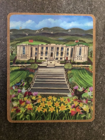 'National Library-Llyfrgell' Magnet by Lizzie Spikes