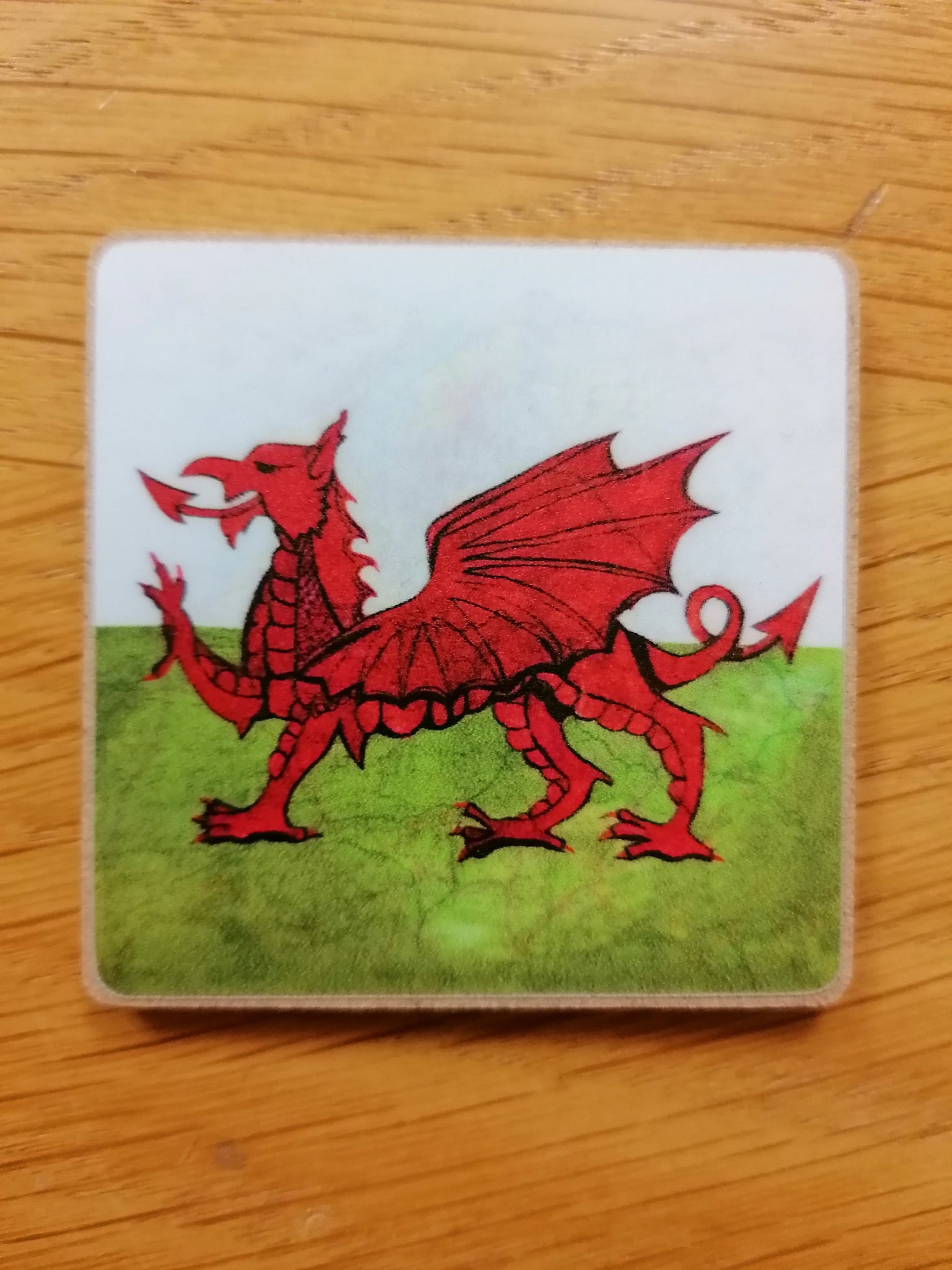 Magnet - ‘Ddraig Goch’ by Lizzie Spikes