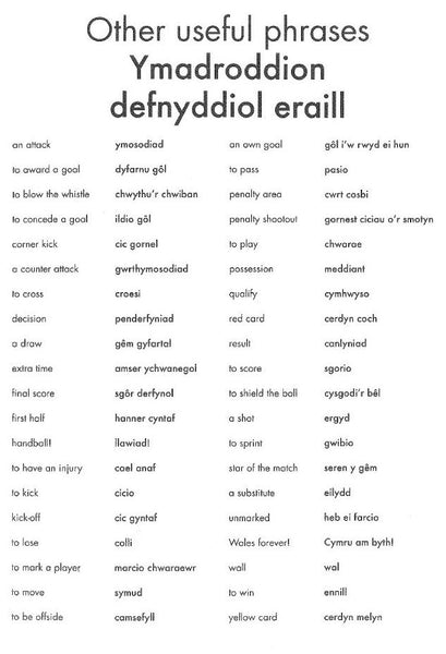 'Wales Football Colouring Book' by Anne Cakebread