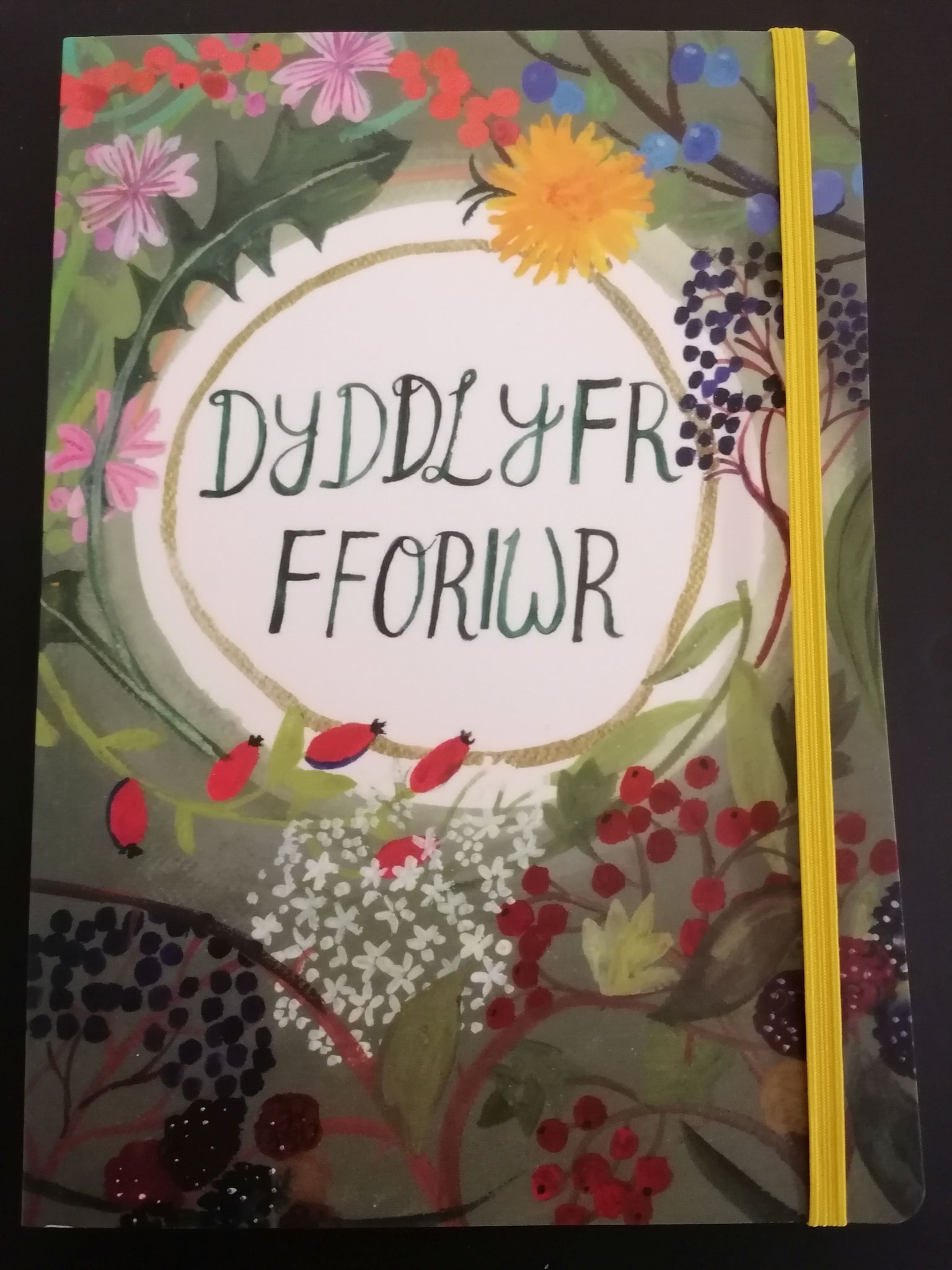 'Dyddlyfr Fforiwr' (A Forager's Journal) Notebook by Lizzie Spikes