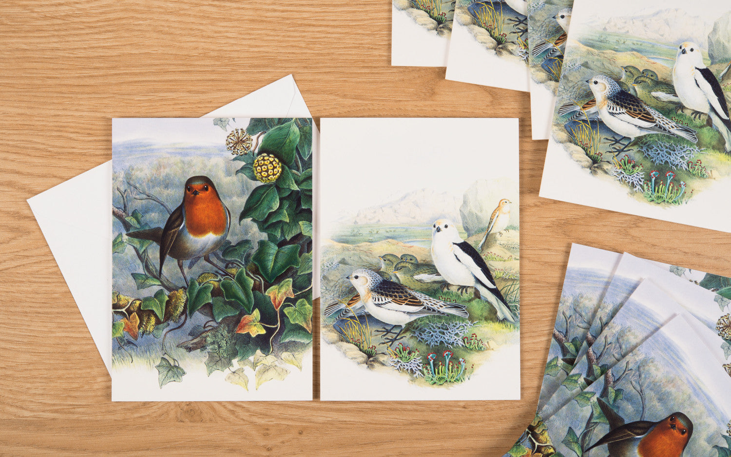 Christmas Cards - The birds of Great Britain|Cardiau Nadolig - 'The birds of Great Britain' - National Library of Wales Online Shop / Siop Arlein Llyfrgell Genedlaethol Cymru