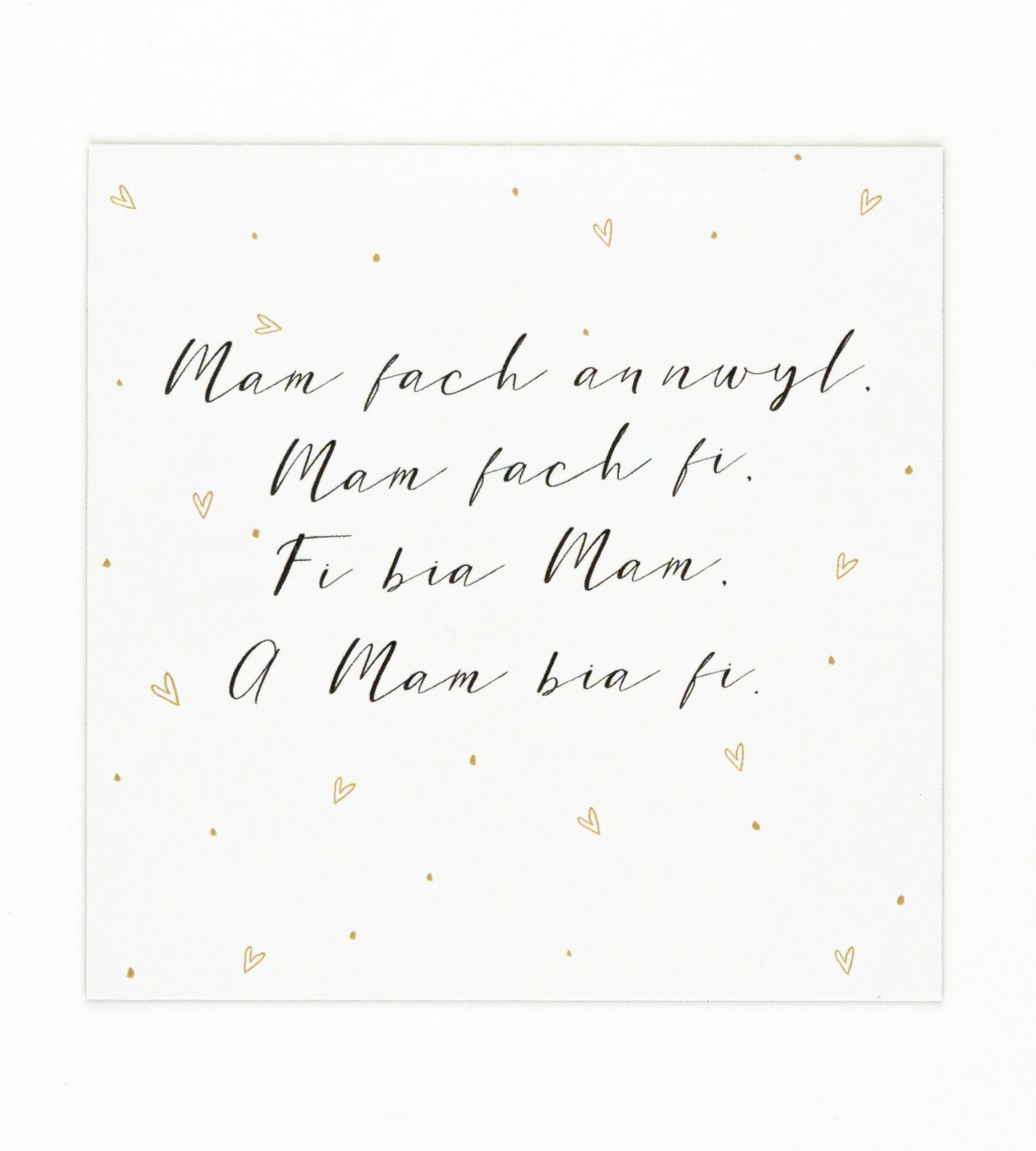 'Mam fach annwyl...' fridge magnet