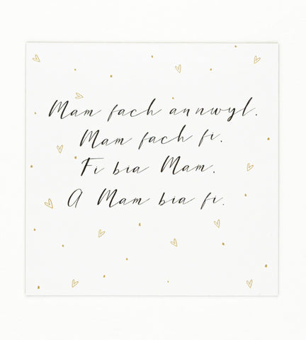 'Mam fach annwyl...' fridge magnet
